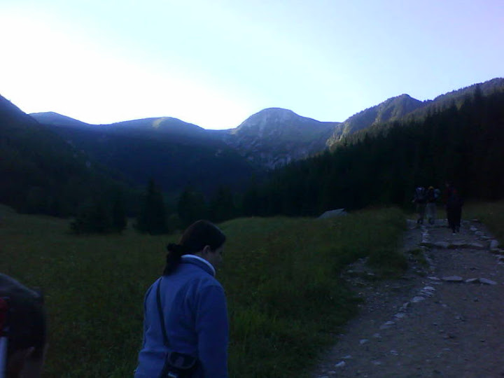 image-upload-9-790898.jpg