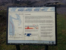 Washington Geology -  Tsunamis 