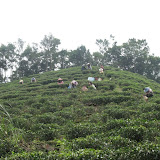 10-20-2007 坪林、基隆