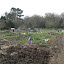 pellynut's Allotment garden