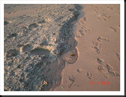 white sand