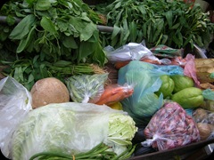 Bakul Sayur Keliling 4634