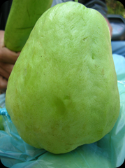 Bakul Sayur Keliling 04