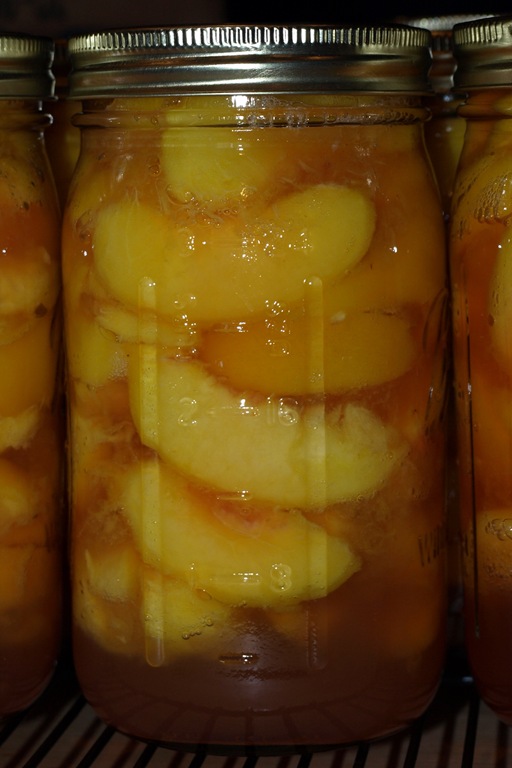 [P9234510[6].jpg]