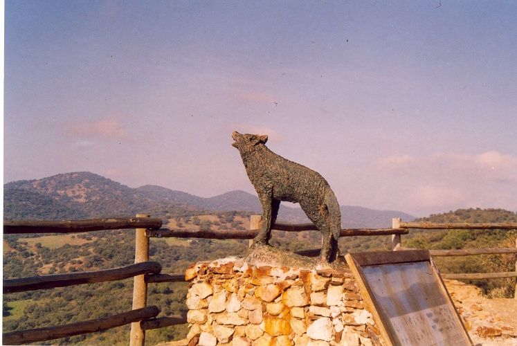 MIRADOR_DE_LA_LOBA.jpg