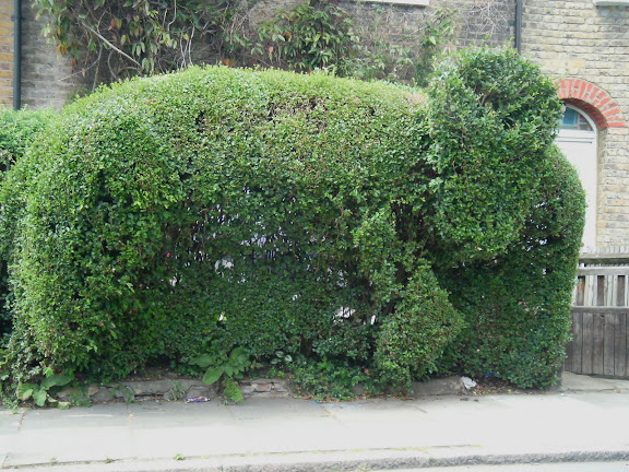 Elephant I