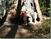 van Pahrum tot en met Sequoia Nationala Park 079