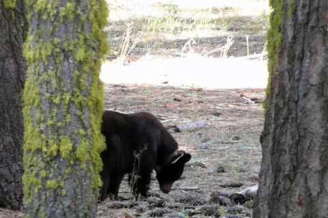 [van Pahrum tot en met Sequoia Nationala Park 093[4].jpg]