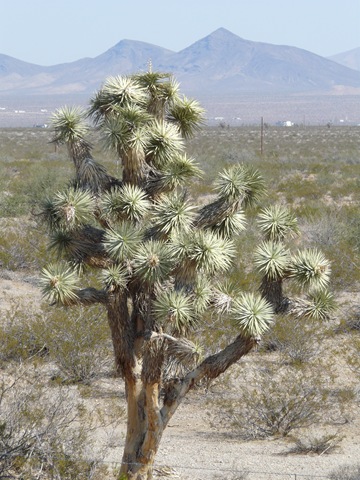 [20080930_2[4].jpg]