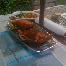 Maryland Style Steamed Dungeness Crabs