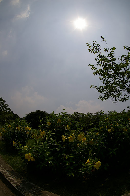 Tokina ATX 10-17mm Fisheye 實拍報告