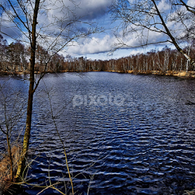 Ralf Ahsbahs S Profile Quickborn Sh De Pixoto