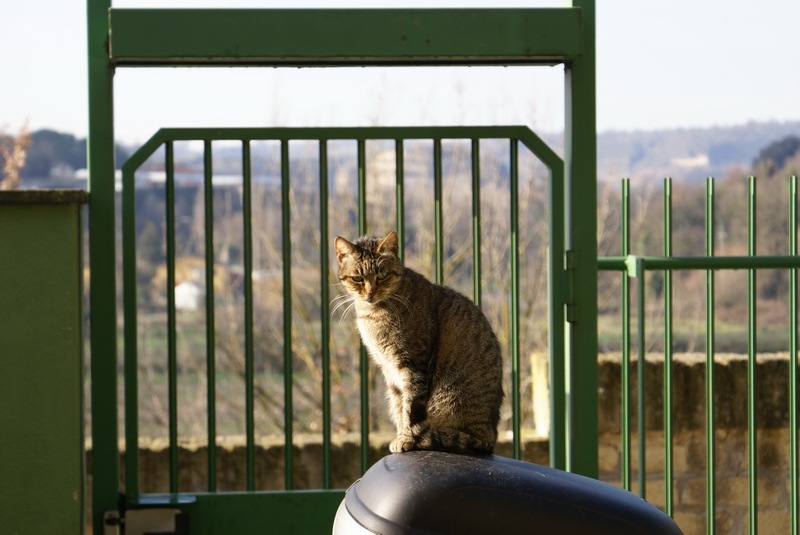 [Miele e linfinito[4].jpg]