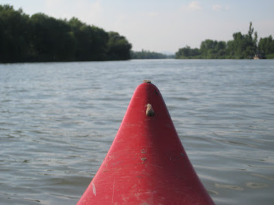canoe