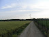 Sentiero trenno - bosco in città