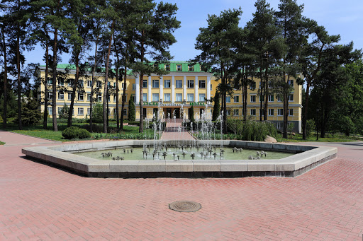 Гостиница Софиевская
