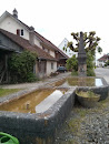 La Fontaine Du Village