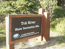 Tok River State Recreation Site
