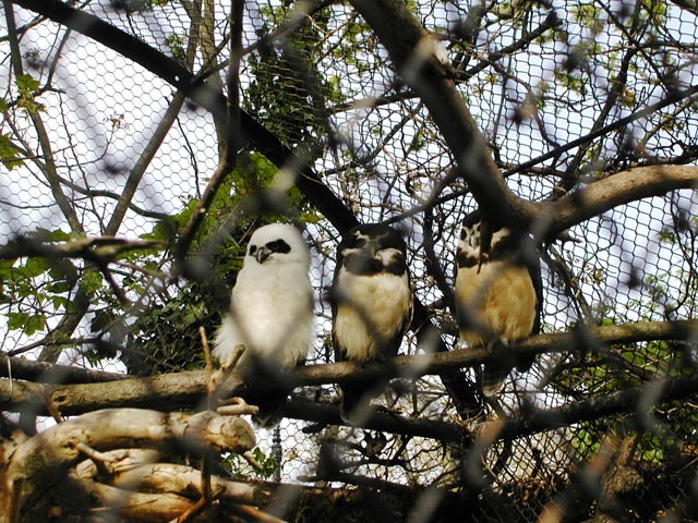 [P50500603.jpg]