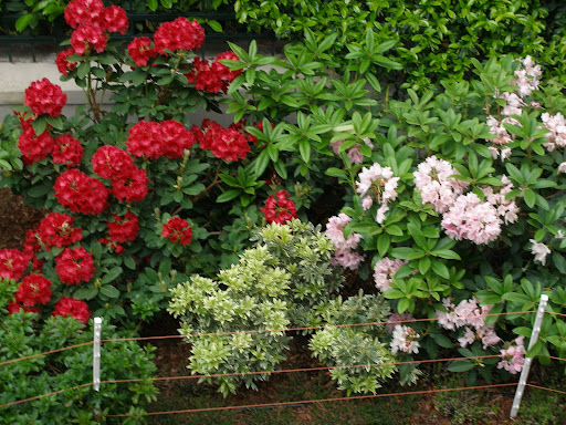 P5050009.JPG