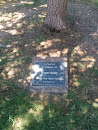 Green Valley Park Wayne Solely Memorial