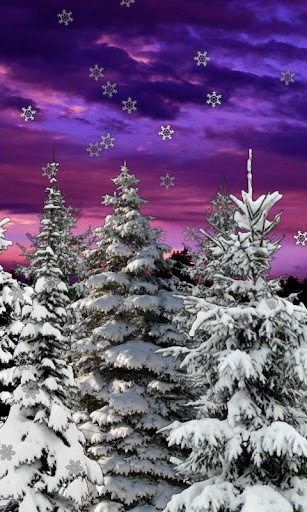 【免費個人化App】Winter Snow Trees 3D Trial LWP-APP點子