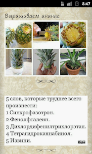 How to get Самоделкин 2.1 unlimited apk for laptop