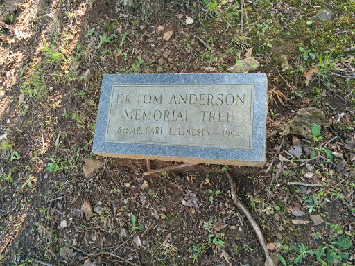 Dr.Tom Anderson Memorial Tree 