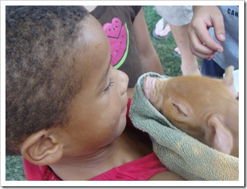 Jadon kiss a pig!