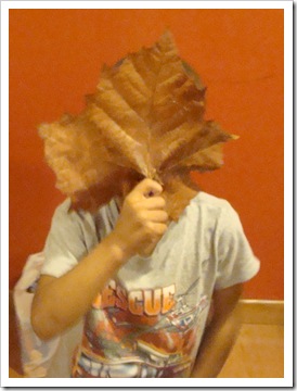 That's ONE HUGE leaf!