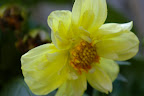 IMGP2649.JPG