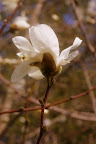 IMGP0334.JPG