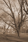 IMGP0417.JPG