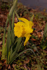IMGP0431.JPG
