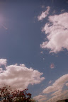 IMGP2316.JPG