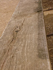DSC00135.JPG