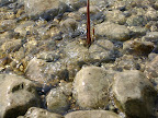 DSC00179.JPG
