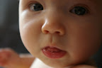 IMGP3404.JPG