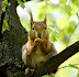 DSC_0597_org.jpg