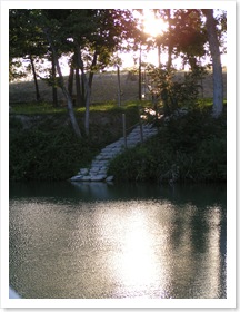 PICT0354