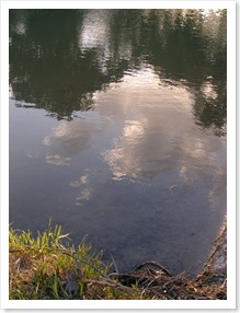 PICT0352