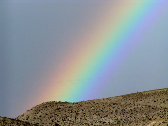 [PICT00673.jpg]