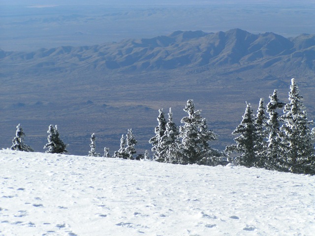 [PICT01422.jpg]
