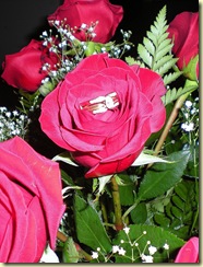 DSCN0542