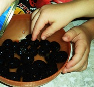 DSCN0333