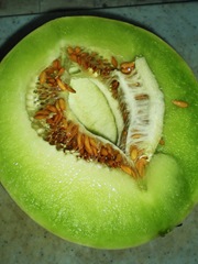 DSCN0389