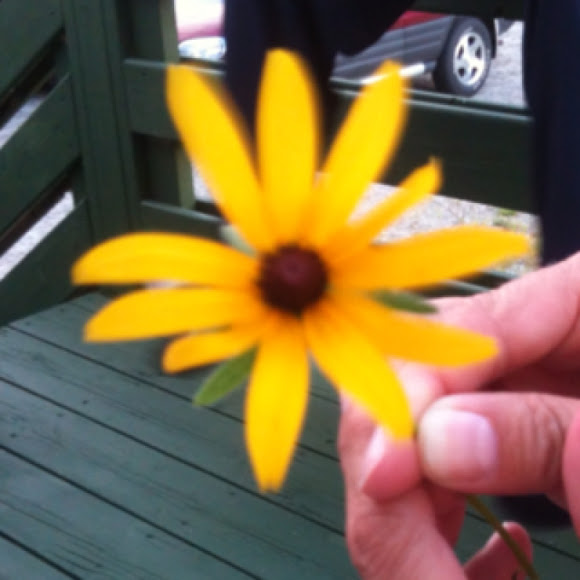 Spotting Image 1