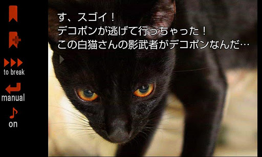 リナの黒い猫