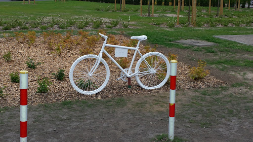 Magda's Bike