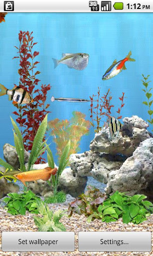 aniPet Freshwater Aquarium LWP